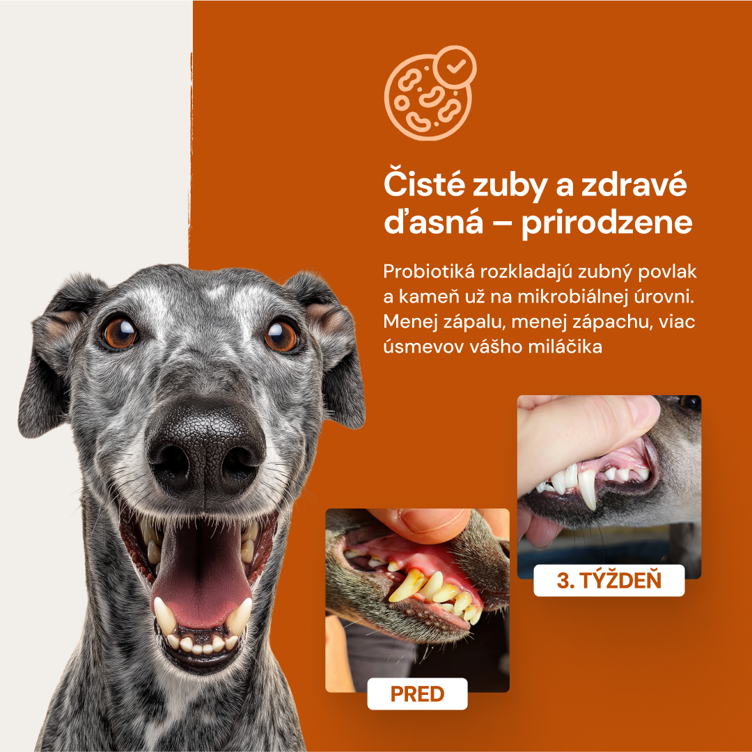 Lucaa+ Starostlivosť o zuby